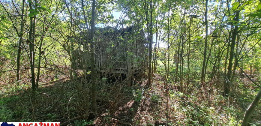 Boljevac, Rtanj – Ilino 21kvm + 17kvm + 10,44ari