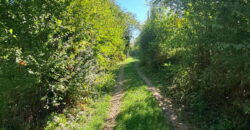 Boljevac, Rtanj – Ilino 14,31 ar