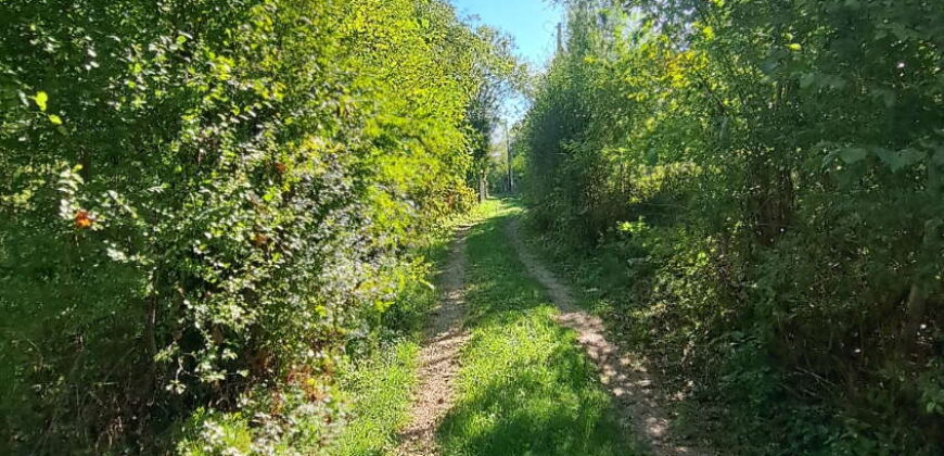 Boljevac, Rtanj – Ilino 14,31 ar