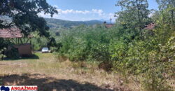 Bor, Šarbanovac – tri kuće 35kvm + 72kvm +45kvm + 57,57ari