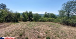 Bor, Šarbanovac – tri kuće 35kvm + 72kvm +45kvm + 57,57ari