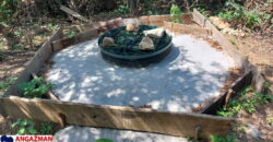 Boljevac, Rtanj – Bačevica 8ha 34ara 61kvm