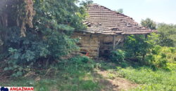 Boljevac, Rtanj – Bačevica 8ha 34ara 61kvm