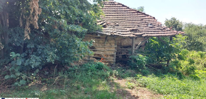 Boljevac, Rtanj – Bačevica 8ha 34ara 61kvm