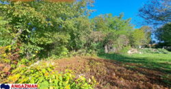 Boljevac, Rtanj – Ilino 14,31 ar