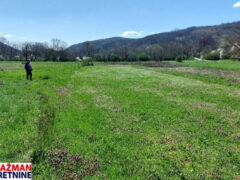 Boljevac – Jablanica 61,35ari