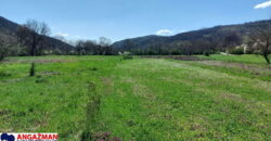 Boljevac – Jablanica 61,35ari