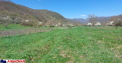 Boljevac – Jablanica 61,35ari