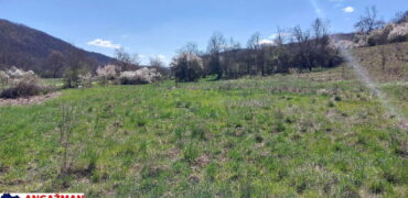 Boljevac – Jablanica 86,77ari