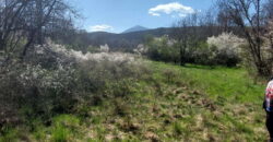 Boljevac – Jablanica 86,77ari