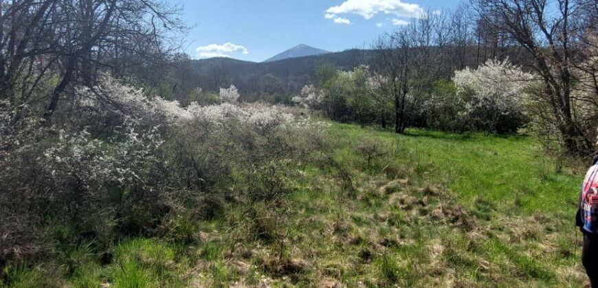 Boljevac – Jablanica 86,77ari