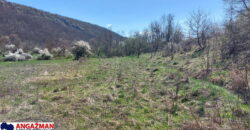 Boljevac – Jablanica 86,77ari