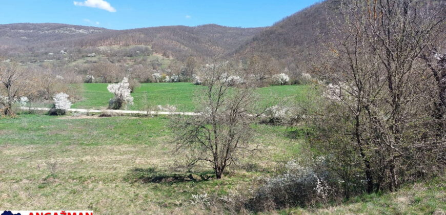 Boljevac – Jablanica 86,77ari