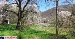 Boljevac – Jablanica 86,77ari