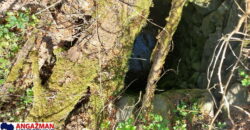 Boljevac – Jablanica 86,77ari