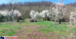 Boljevac – Jablanica 86,77ari