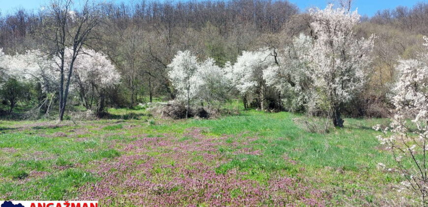 Boljevac – Jablanica 86,77ari