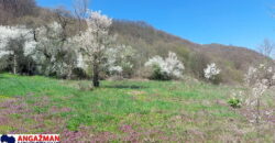 Boljevac – Jablanica 86,77ari