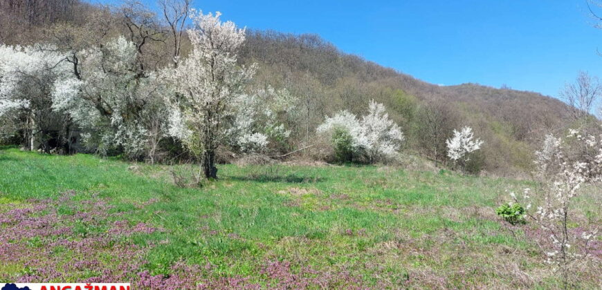 Boljevac – Jablanica 86,77ari