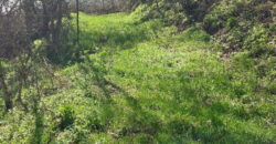 Boljevac – Jablanica 86,77ari