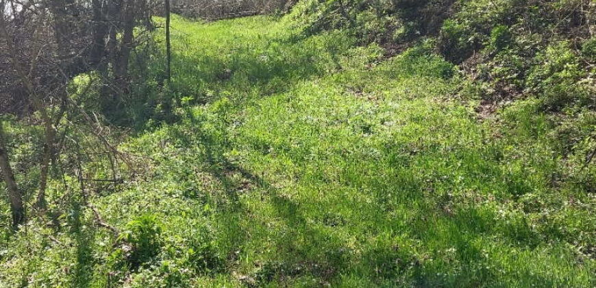 Boljevac – Jablanica 86,77ari