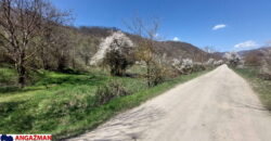 Boljevac – Jablanica 86,77ari