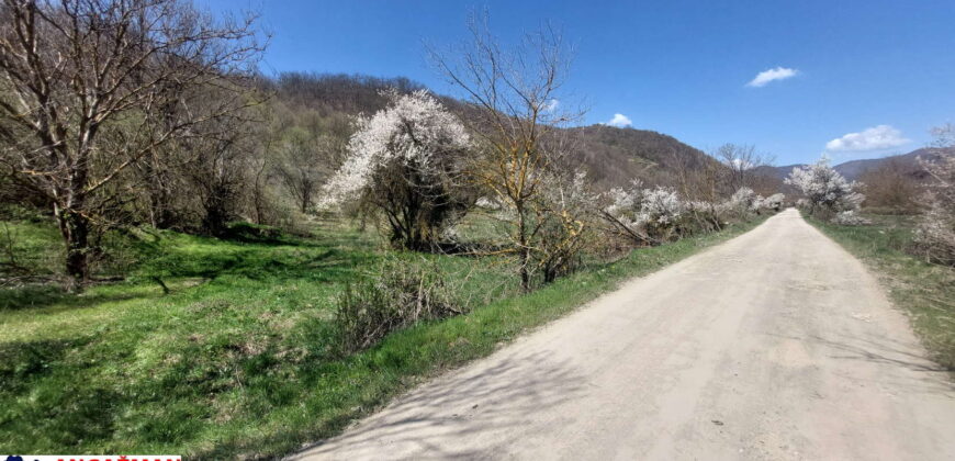 Boljevac – Jablanica 86,77ari