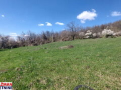 Boljevac, Rtanj – Krivi vir 49,25ari + (49kvm+70kvm+26kvm)