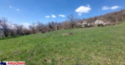 Boljevac, Rtanj – Krivi vir 49,25ari + (49kvm+70kvm+26kvm)