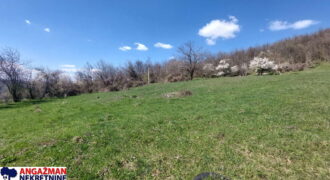 Boljevac, Rtanj – Krivi vir 49,25ari + (49kvm+70kvm+26kvm)