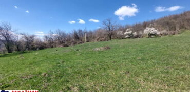 Boljevac, Rtanj – Krivi vir 49,25ari + (49kvm+70kvm+26kvm)