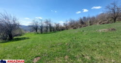 Boljevac, Rtanj – Krivi vir 49,25ari + (49kvm+70kvm+26kvm)