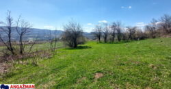 Boljevac, Rtanj – Krivi vir 49,25ari + (49kvm+70kvm+26kvm)