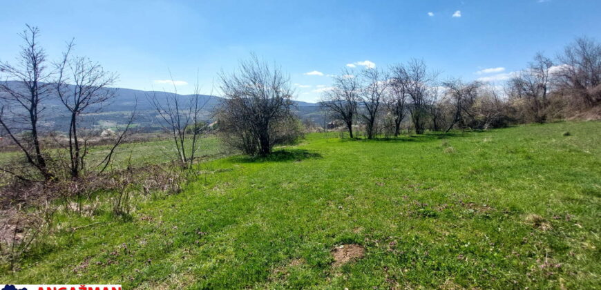 Boljevac, Rtanj – Krivi vir 49,25ari + (49kvm+70kvm+26kvm)