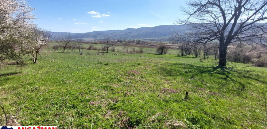 Boljevac, Rtanj – Krivi vir 49,25ari + (49kvm+70kvm+26kvm)