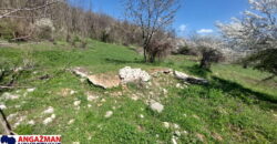 Boljevac, Rtanj – Krivi vir 49,25ari + (49kvm+70kvm+26kvm)