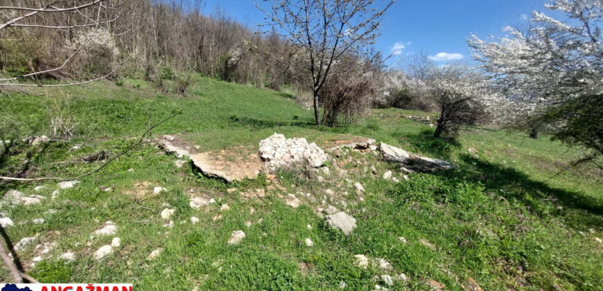 Boljevac, Rtanj – Krivi vir 49,25ari + (49kvm+70kvm+26kvm)