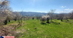 Boljevac, Rtanj – Krivi vir 49,25ari + (49kvm+70kvm+26kvm)