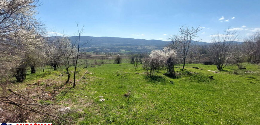 Boljevac, Rtanj – Krivi vir 49,25ari + (49kvm+70kvm+26kvm)