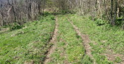 Boljevac, Rtanj – Krivi vir 49,25ari + (49kvm+70kvm+26kvm)