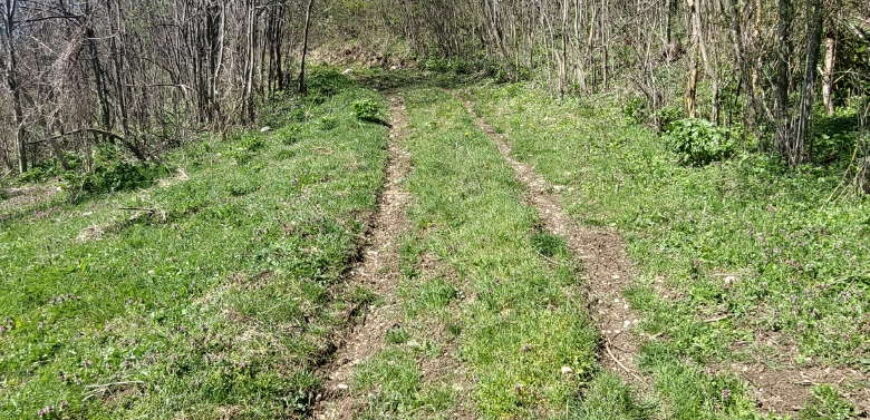 Boljevac, Rtanj – Krivi vir 49,25ari + (49kvm+70kvm+26kvm)