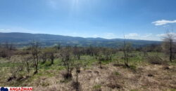 Boljevac, Rtanj – Krivi vir 2ha 49ari 60kvm