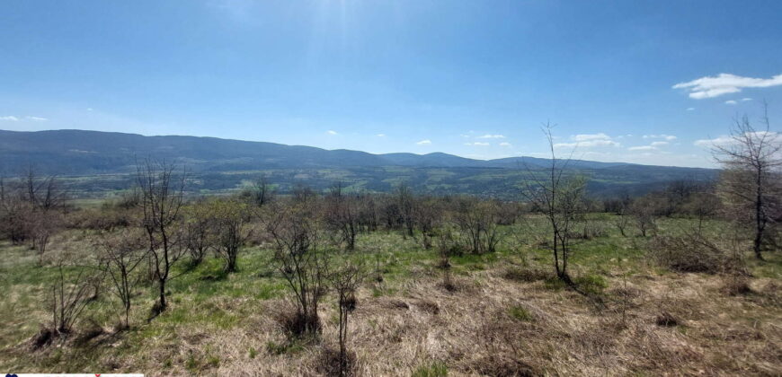 Boljevac, Rtanj – Krivi vir 2ha 49ari 60kvm
