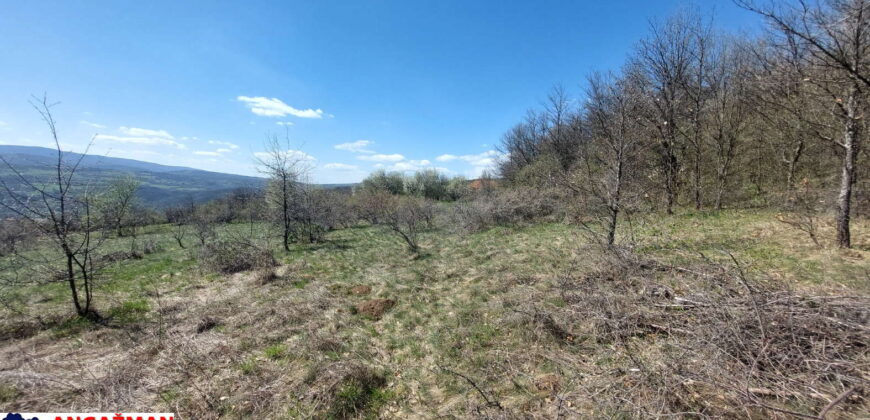 Boljevac, Rtanj – Krivi vir 2ha 49ari 60kvm