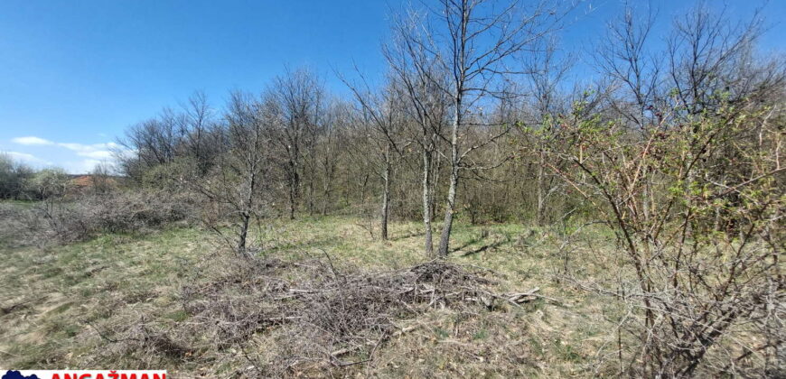 Boljevac, Rtanj – Krivi vir 2ha 49ari 60kvm