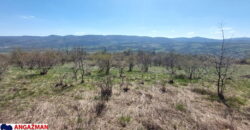 Boljevac, Rtanj – Krivi vir 2ha 49ari 60kvm