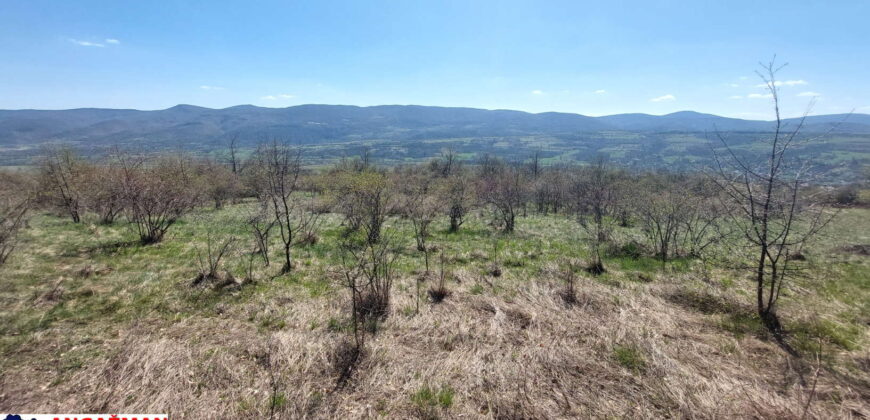 Boljevac, Rtanj – Krivi vir 2ha 49ari 60kvm