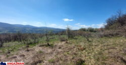 Boljevac, Rtanj – Krivi vir 2ha 49ari 60kvm