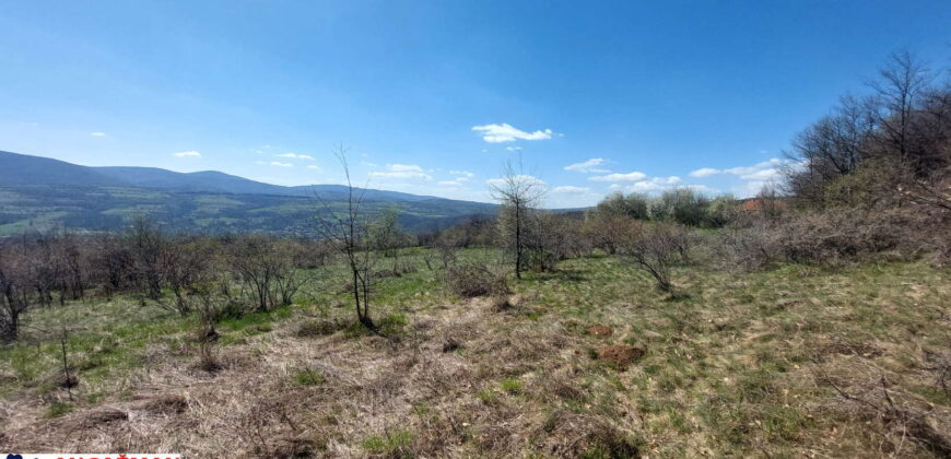 Boljevac, Rtanj – Krivi vir 2ha 49ari 60kvm