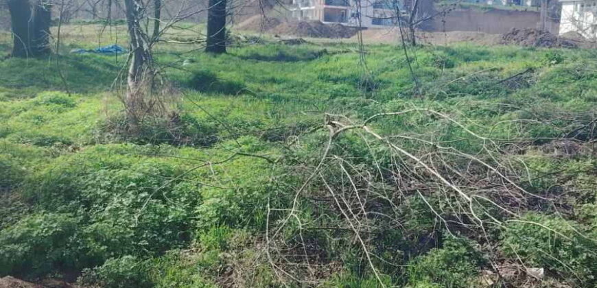 Stari Banovci – 40kvm (T)